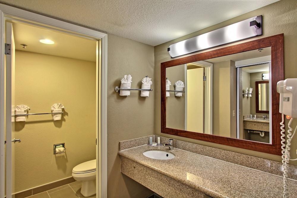 Avisa Downtown Hotel