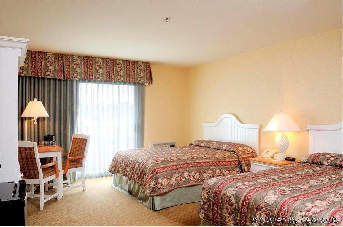Avisa Downtown 3*